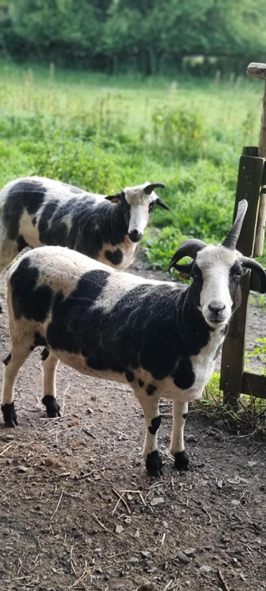 Chambres D'Hotes Ferme De La Baie Roz sur Couesnon Bagian luar foto