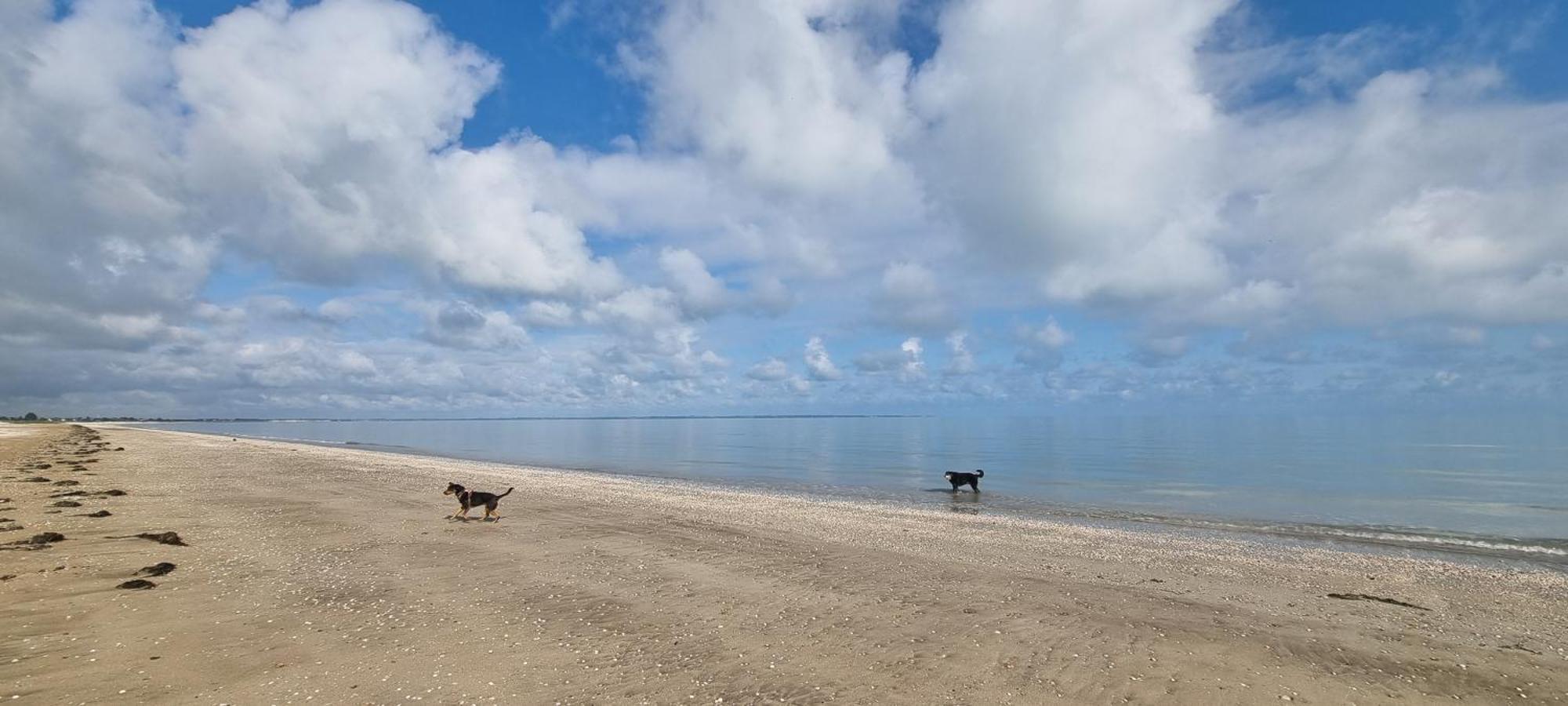 Chambres D'Hotes Ferme De La Baie Roz sur Couesnon Bagian luar foto