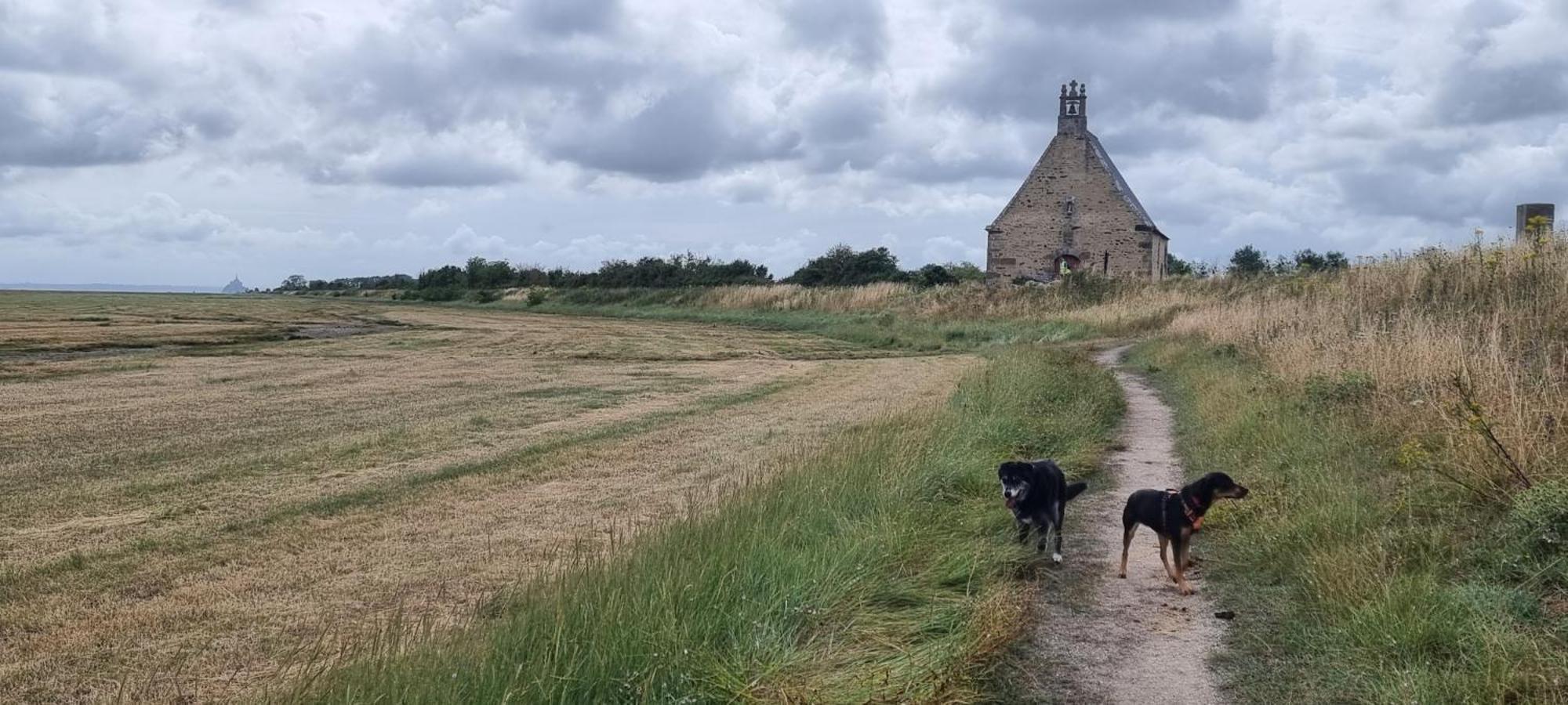 Chambres D'Hotes Ferme De La Baie Roz sur Couesnon Bagian luar foto